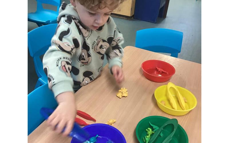 Child using tongs to get plastic creatures out of plastic bowls
