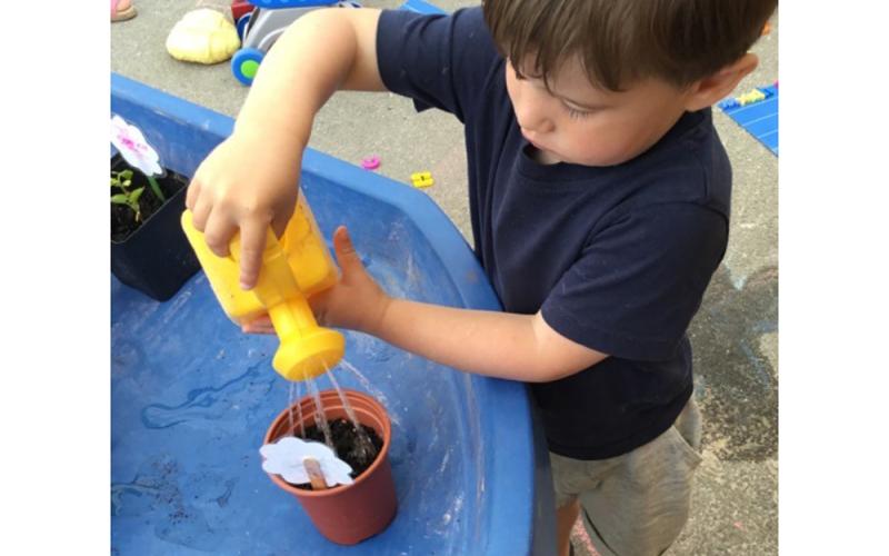 Child watering a pot